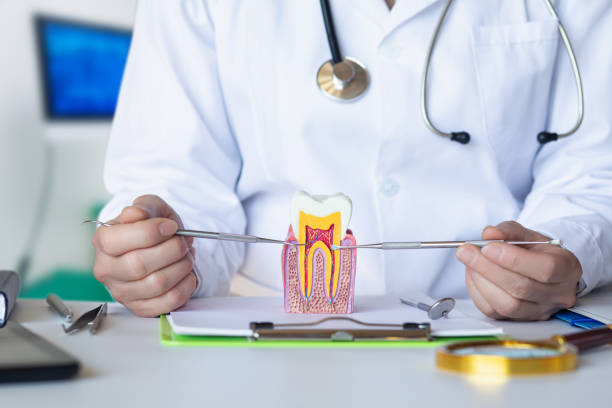 Best Tooth Pain Emergency Relief  in Long Beach, WA